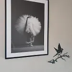 Ballerina Bianca Oda ve Kahvaltı *